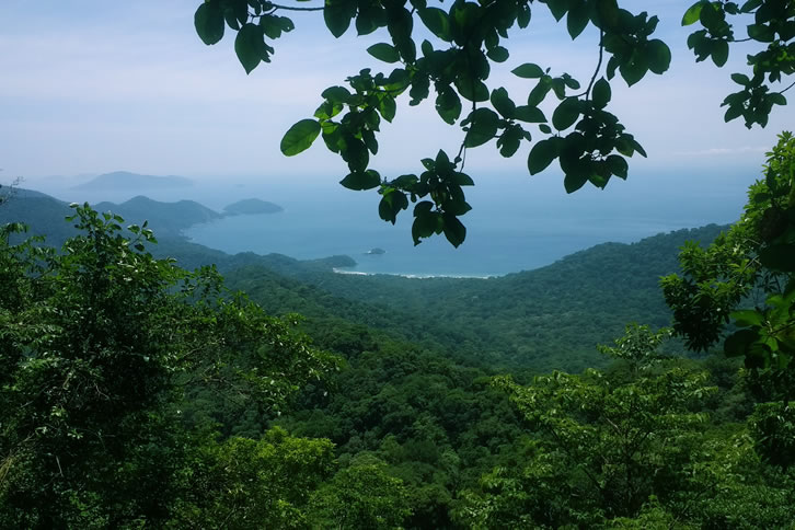 Mata Atlântica Walking Trail